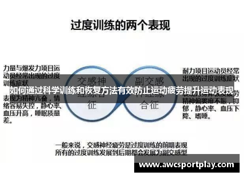 如何通过科学训练和恢复方法有效防止运动疲劳提升运动表现