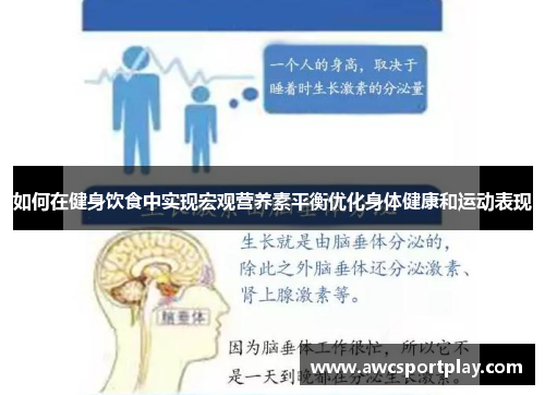 如何在健身饮食中实现宏观营养素平衡优化身体健康和运动表现