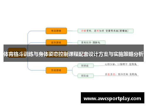 体育格斗训练与身体姿态控制课程配套设计方案与实施策略分析