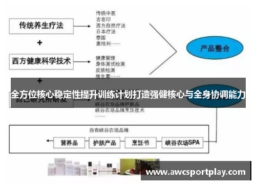全方位核心稳定性提升训练计划打造强健核心与全身协调能力
